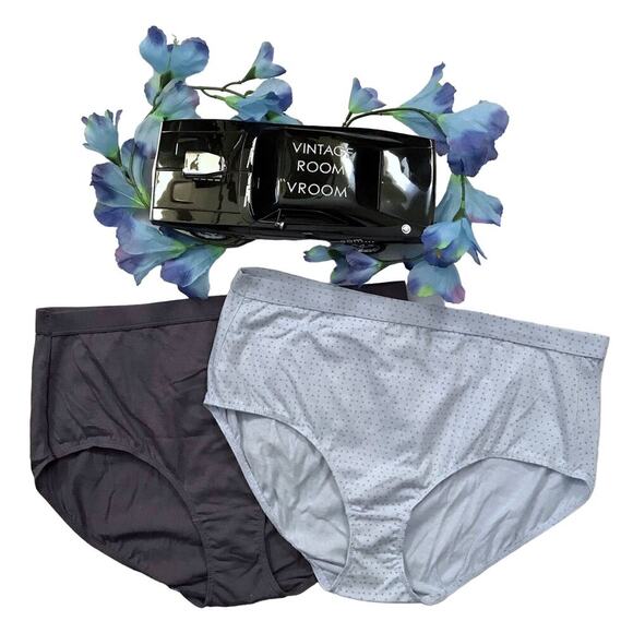 Hanes NWOT 2 Pack Bundle Brief Panties Women 9/2XL - Picture 1 of 7